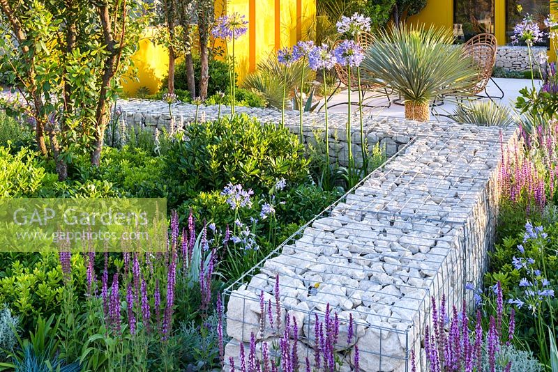 Mur de gabion rempli de pierre avec Aredo à plusieurs tiges. 'Living La Vida 120 '. RHS Hampton Flower Show 2018