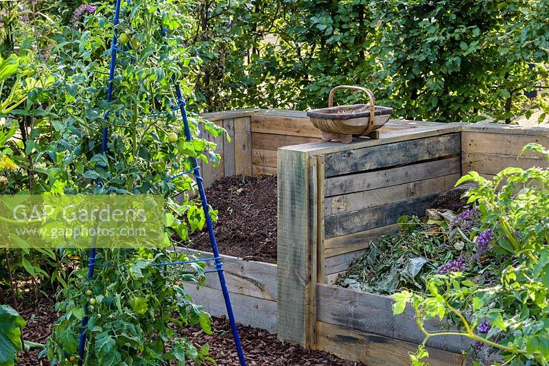 Bacs à compost et buisson de tomates cerises. «RHS Grow Your Own with The Raymond Blanc Gardening School», RHS Hampton Flower Show, 2018