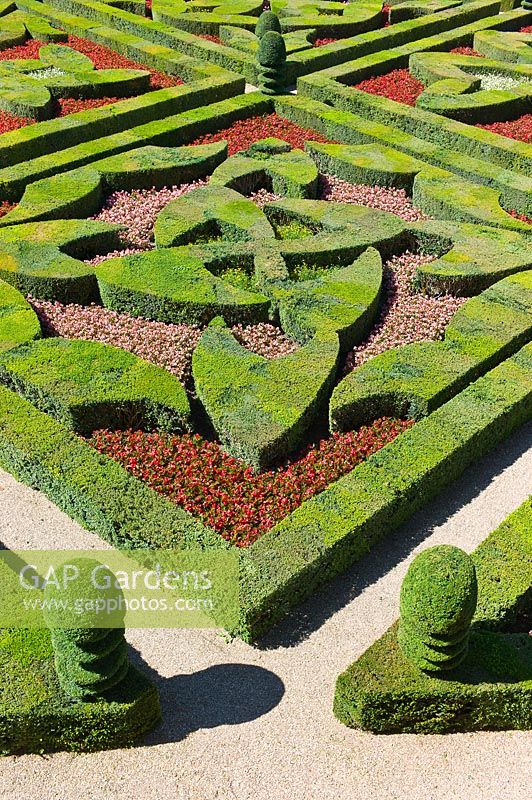 Jardin ornemental avec Buxus sempervirens coupés et Taxus topiaire, Château de Villandry, Vallée de la Loire, France