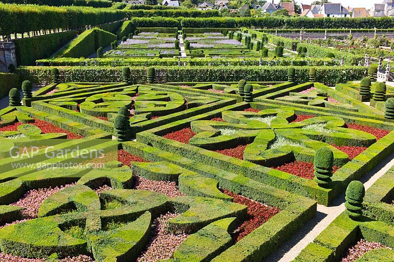 Jardin ornemental avec coupés Buxus sempervirens et Taxus, Château de Villandry, Vallée de la Loire, France