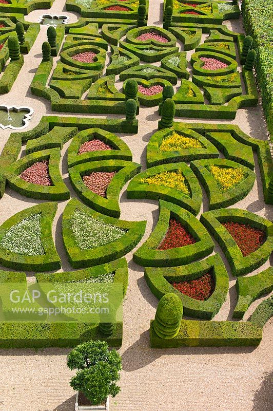 Vue d'ensemble du jardin d'ornement avec Buxus sempervirens et Taxus au Château de Villandry, Vallée de la Loire, France