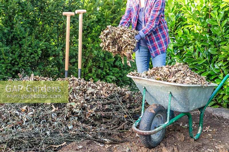 Femme ajoutant des feuilles séchées à des tas de déchets de jardin et de branches d'arbres, dans le cadre de la méthode Hugelkultur.