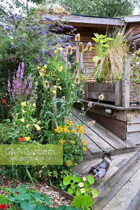 La maison écologique et les terrasses en bois entourées de plantes à fleurs.