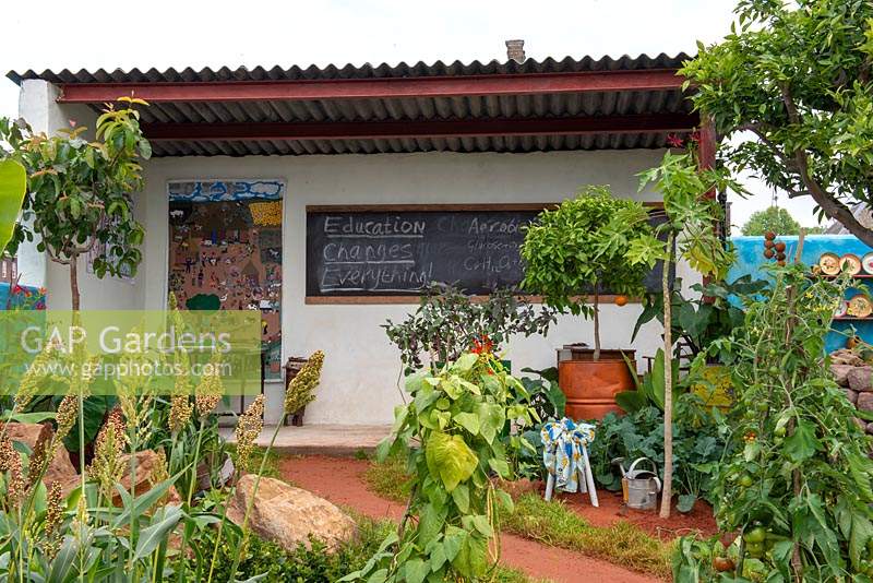 Abri avec tableau noir pour l'enseignement, produits comestibles dans le jardin avant - The Camfed Garden: Giving Girls in Africa a Space to Grow, RHS Chelsea Flower Show 2019.