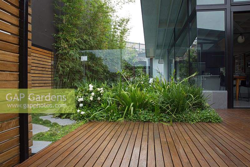 Un paravent à lattes et une terrasse en bois dur à côté d'une maison avec un paravent vert de Slender Weavers Bamboo, une terrasse en bois de bois franc et un parterre de jardin bas avec une plantation luxuriante.