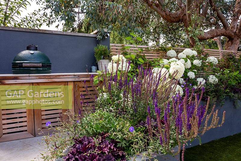 Jardin contemporain de Londres - barbecue sur mesure sur terrasse avec parterre de fleurs surélevé gris. La plantation comprend le smoothie aux baies de Heuchera, la Salvia caradonna, l'Hydrangea anabelle, le Geranium johnsons blue.