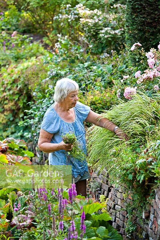 La jardinière hollandaise Els de Boer travaille dans son jardin.