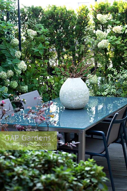 Un coin repas sur une terrasse, écran végétal d'Hortensia 'Limelight', au premier plan Loropetalum à feuilles violettes 'Black Pearl'