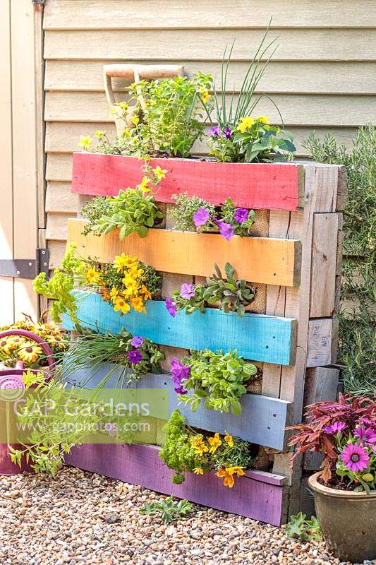 Jardinière à palettes remplie d'annuelles et d'herbes colorées et peinte de couleurs arc-en-ciel