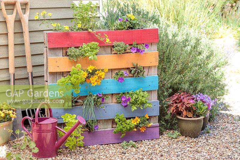 Jardinière à palettes remplie d'annuelles colorées et décorée de couleurs arc-en-ciel