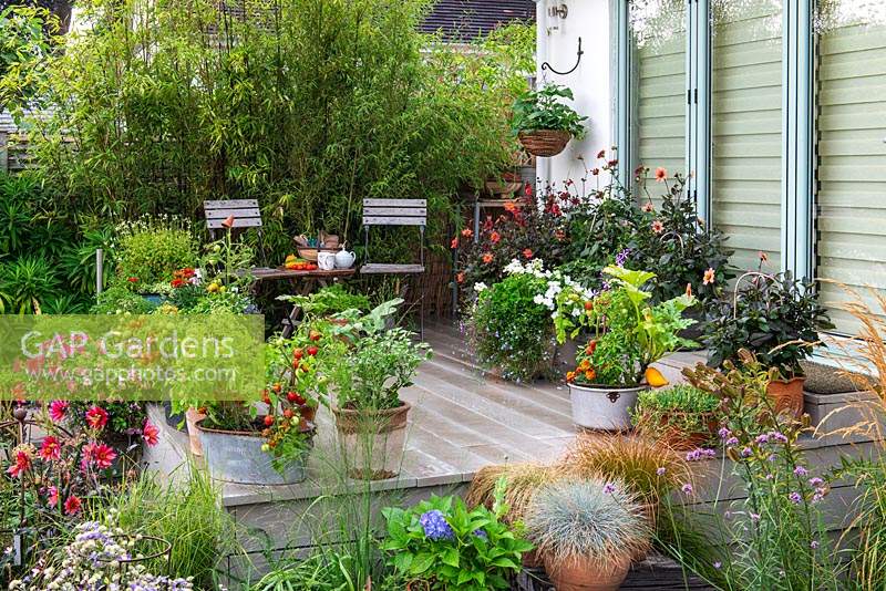 Une terrasse en bois composite recouverte de plantes annuelles en pot et de dahlias à l'extérieur des portes pliantes.