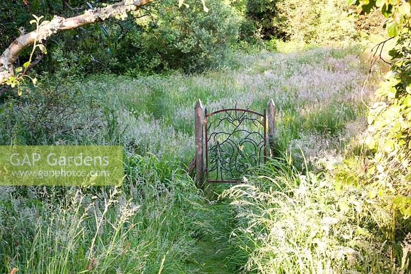 Porte décorative en pré de fleurs sauvages - Dyffryn Fernant, Pays de Galles