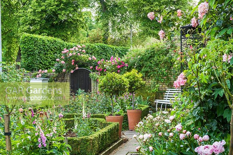 Vue du jardin de la ville en juin. Bordure de buis, lauriers en pot, ruche, digitales, pivoines et roses.