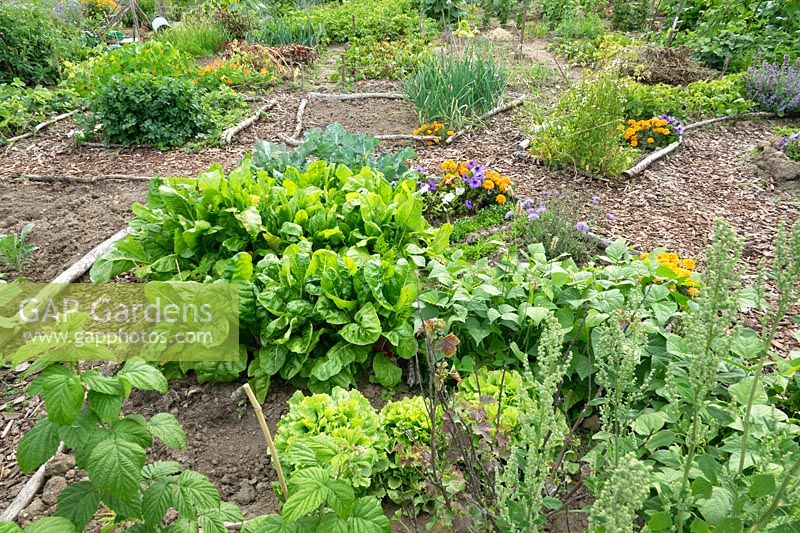 Terrain pour la culture de légumes, de fruits et de fleurs