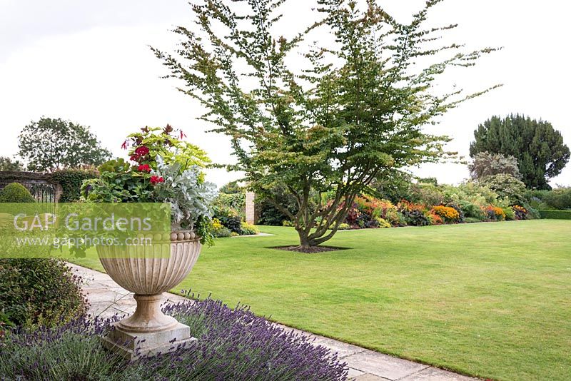 Voir passé urne plantée sur la terrasse à pelouse à à Bourton House, Gloucestershire, Royaume-Uni.