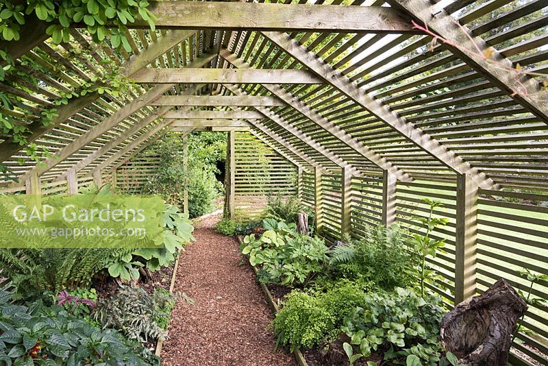 La maison de l'ombre plantée de plantes qui aiment l'ombre comme les fougères, les podophyllums et les bégonias à Bourton House, Gloucestershire, Royaume-Uni.
