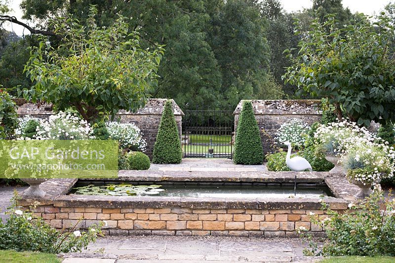 Bassin rectangulaire surélevé dans le jardin blanc de Bourton House avec des pots d'Argyranthemum 'Starlight' à chaque coin.