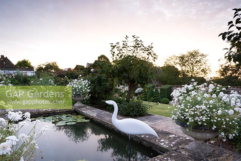 Jardin blanc à l'aube, vu de l'étang surélevé encadré par des pots d'Argyranthemum 'Starlight' et une sculpture d'oiseau