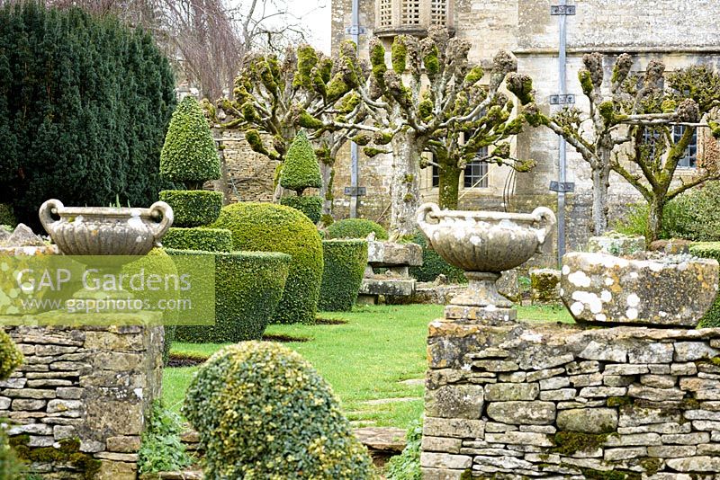 Boîte taillée topiaire encadrée de limes étêtées et de murs en pierre moelleux dans le jardin de Rodmarton Manor, Glos, Royaume-Uni.