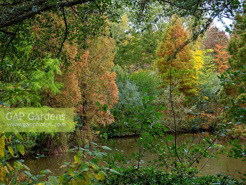 Chaque nuance de vert à travers le lac à Bodenham Arboreatum, Worcestershire, Royaume-Uni.