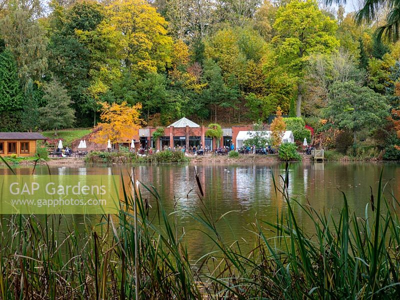 Vue sur le lac de café et restaurant, Bodenham Arboretum Worcestershire, Royaume-Uni.