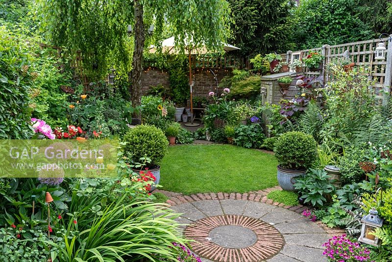 Patio circulaire bordé de pots de pélargoniums, d'alliums, de roses et de feuilles d'hellébore coriaces. Au-delà, pelouse circulaire menant à un patio arrière à l'ombre d'un bouleau pleureur.