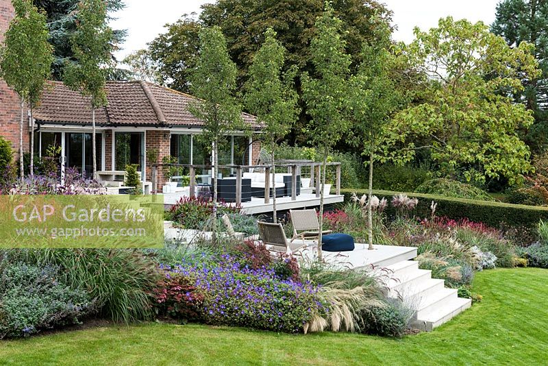 Des parterres d'automne de plantes herbacées à fleurs et d'herbes ornementales s'enroulent autour d'une terrasse et d'une terrasse en bois contemporaines, reliées par des marches.