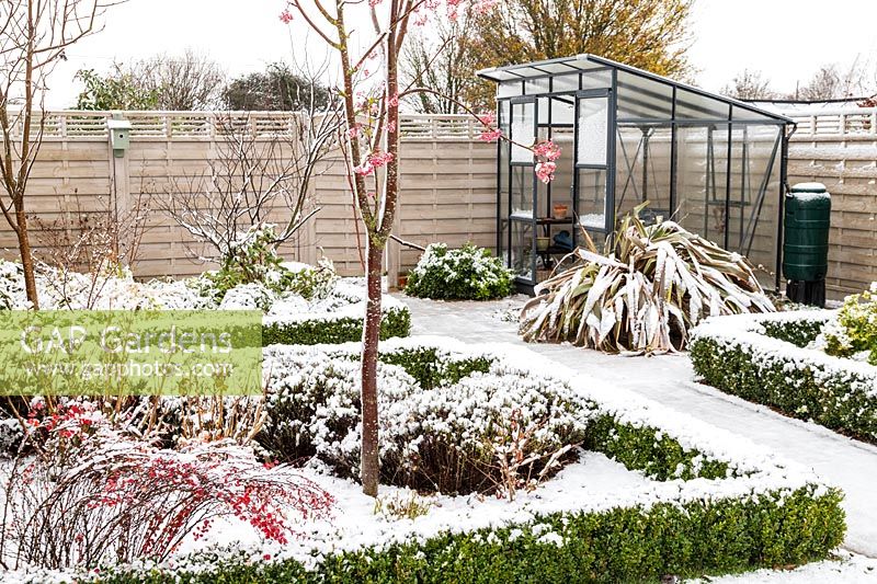 Jardin de banlieue couvert de neige avec couverture Buxus, Sorbus - Rowan tree et vue à effet de serre moderne