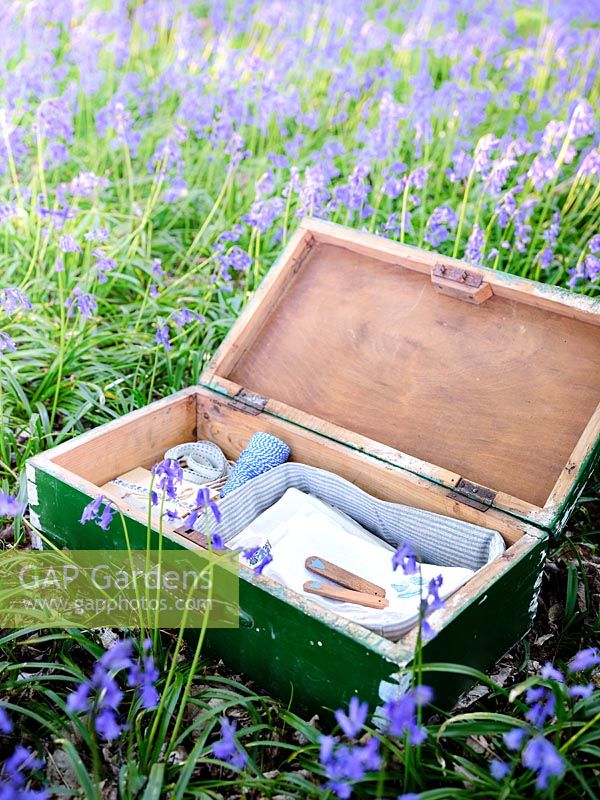 Valise en bois avec des articles de pique-nique placés parmi les jacinthes au printemps.