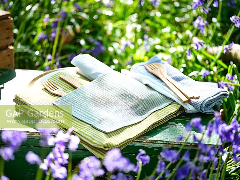Couverts en bois sur assiette avec serviettes en pique-nique au printemps