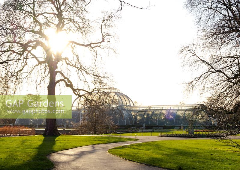 Une vue d'hiver de la Palm House à Kew Gardens, Londres, Royaume-Uni