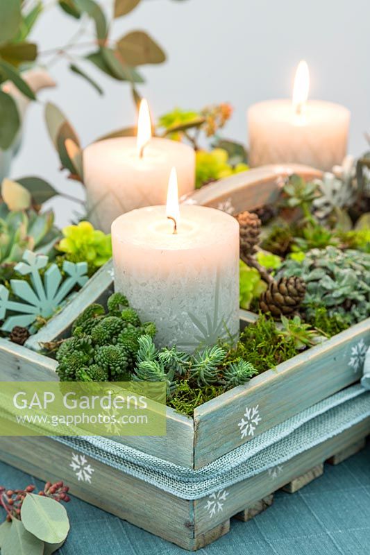 Arrangement de l'Avent dans une boîte en bois avec des bougies pilier sculpté et des plantes succulentes utilisées comme pièce maîtresse sur une table à manger
