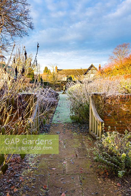 Le jardin du cadran solaire à Wollerton Old Hall Garden, Shropshire - Salive 'Amistad', Eupatorium atropurpureum et Salvia 'Phyllis' Fancy '