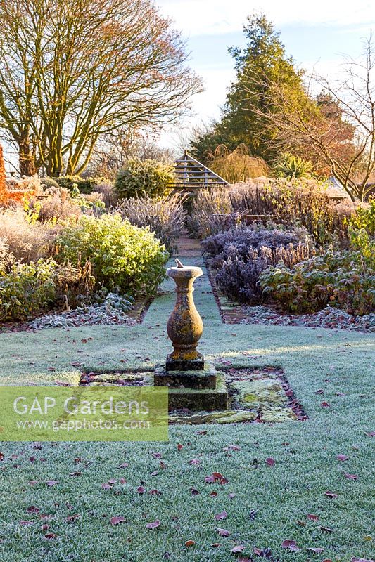 Le jardin du cadran solaire à Wollerton Old Hall Garden, Shropshire - Rosa 'Sceptre d ' Isle', Salvia microphylla et Rosa 'Olivia Rose Austin'