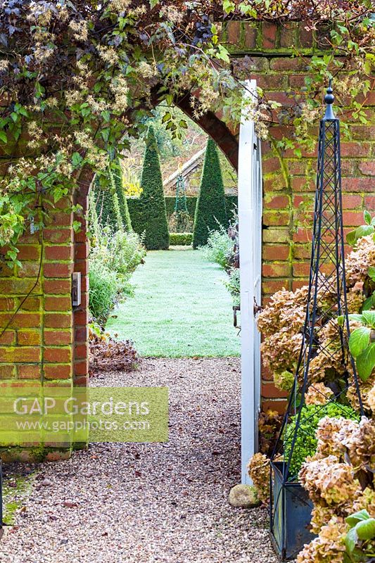 Vue à travers la porte du jardin de la cour à l'if à pied à Wollerton Old Hall Garden, Shropshire - Planté au-dessus de la porte est Clematis rehderiana