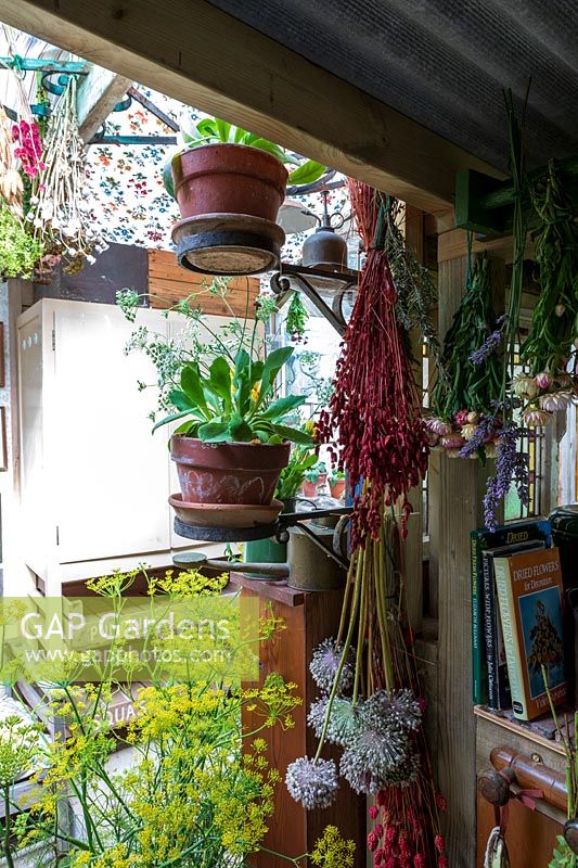 Salle de jardin à l'ancienne, ou abri de rempotage, rempli de matériel de jardinage vintage et de paraphanales, de fleurs et de têtes de graines qui traînent pour sécher