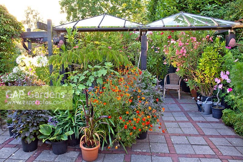 Collection de pots avec plantation mixte sur patio