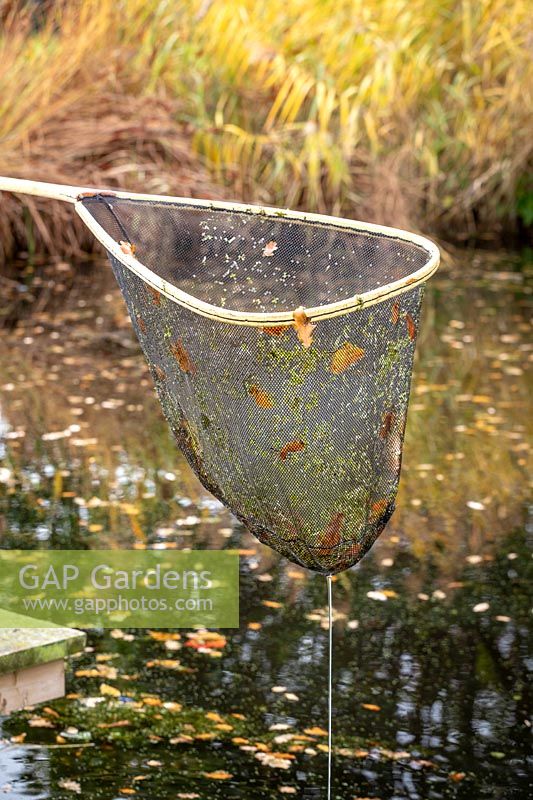 Retirer les feuilles d'un étang avec un filet.