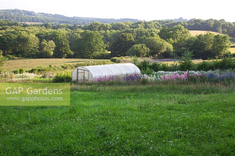 Le jardin de coupe et le polytunnel situé dans les prés avec vue sur le Sussex.