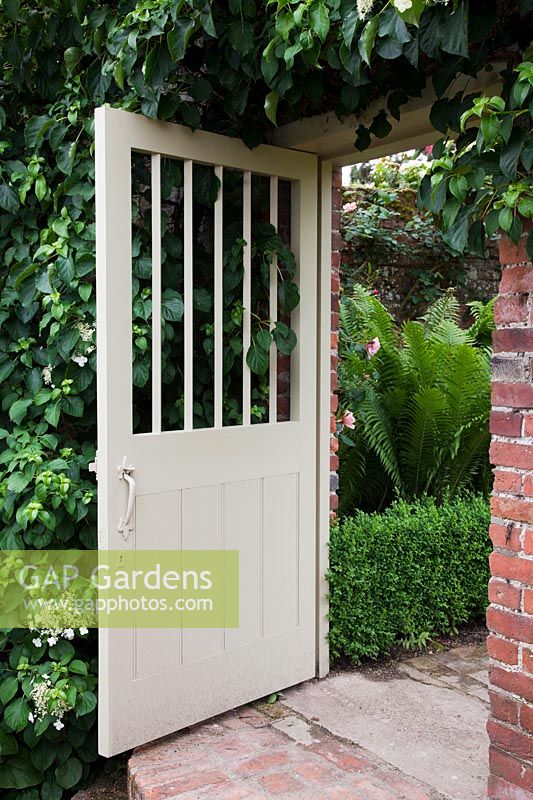 Porte en bois peint dans un jardin clos avec grimpant Hydrangea petiolaris et fougères.