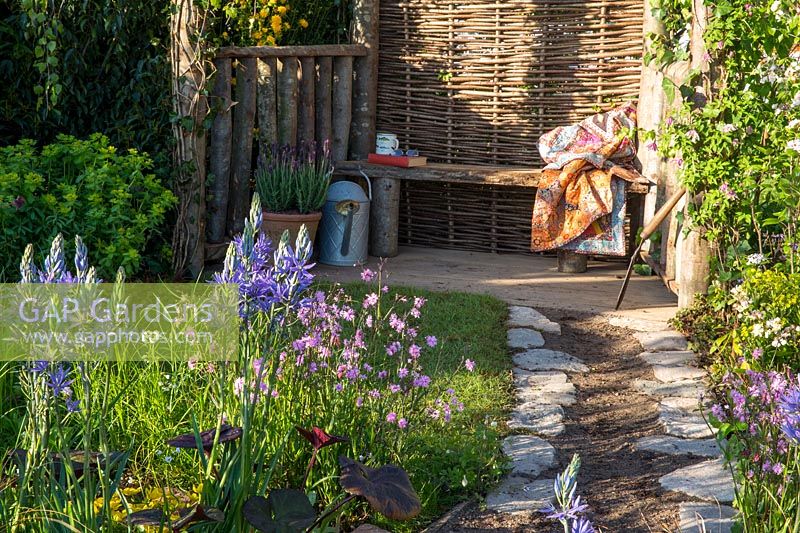 Allée de jardin menant à une clôture en bois et noisetier et abri avec banc de jardin en bois, au premier plan: parterre de fleurs avec Camassia esculenta 'Quamash', Lychnis flos cuculi 'Terry's Pink '.