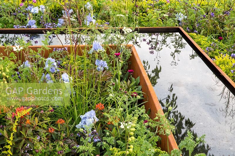 Abreuvoir en acier corten dans un parterre de fleurs herbacées mixtes. Le jardin UCARE, RHS Malvern Spring Festival, 2016. Designer Emily Sharpe