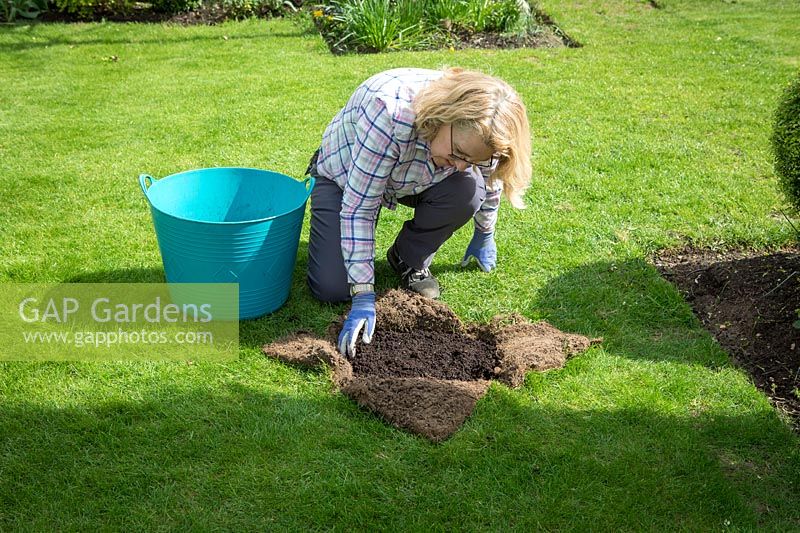 Réparer un plongeon dans une pelouse. Ajout de compost.