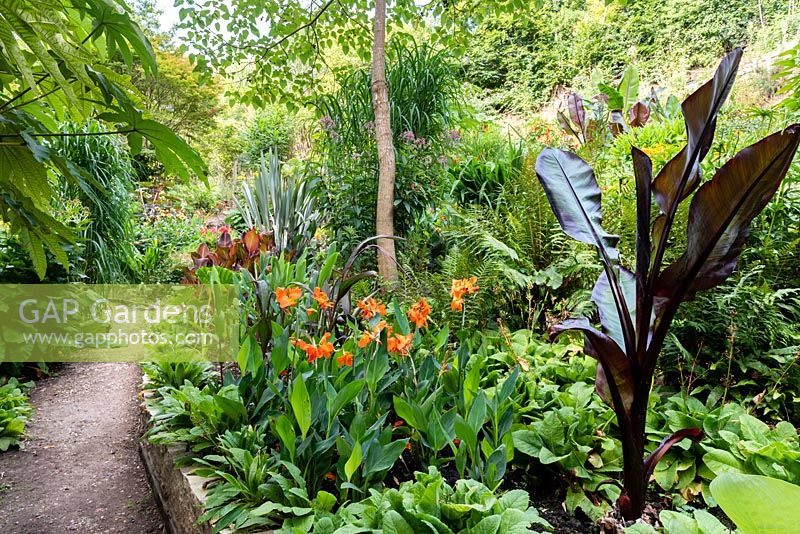 Vue sur le jardin situé dans une vallée escarpée avec son propre microclimat abrité, qui permet aux tendres plantes exotiques de s'épanouir.
