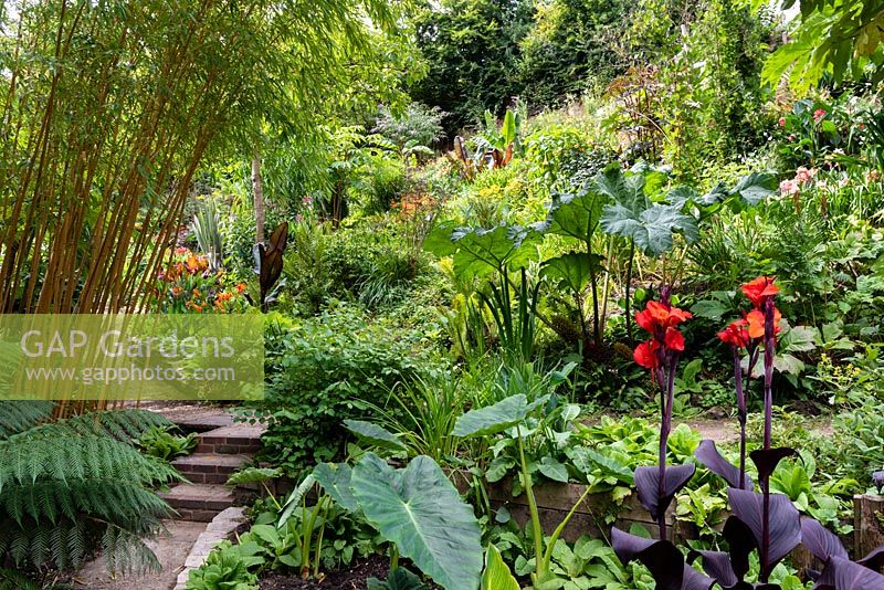 Chemin à travers un jardin situé dans une vallée escarpée, avec son propre microclimat abrité qui permet aux tendres plantes exotiques de s'épanouir.