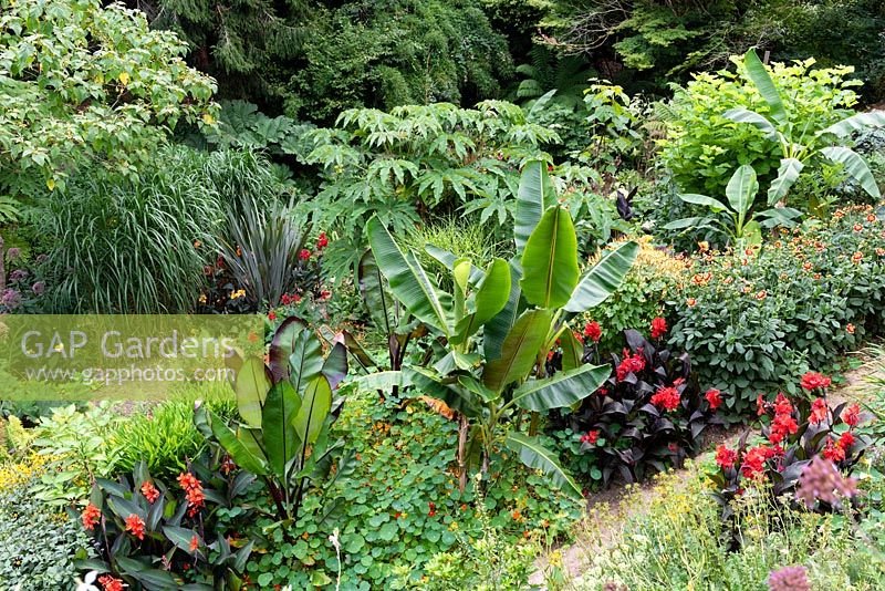 Vue sur le jardin situé dans une vallée escarpée, avec son propre microclimat abrité, qui permet aux tendres plantes exotiques de s'épanouir.