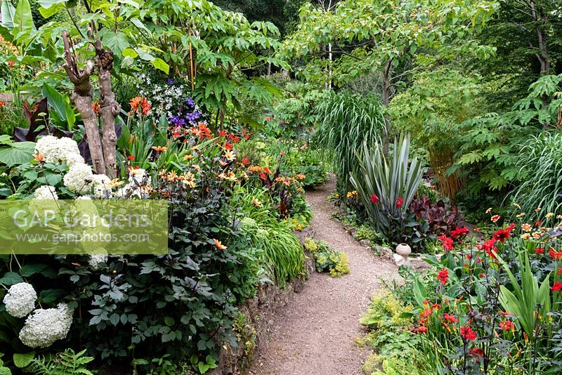 Un chemin à travers un jardin situé dans une vallée escarpée, avec son propre microclimat abrité qui permet aux tendres plantes exotiques de s'épanouir.