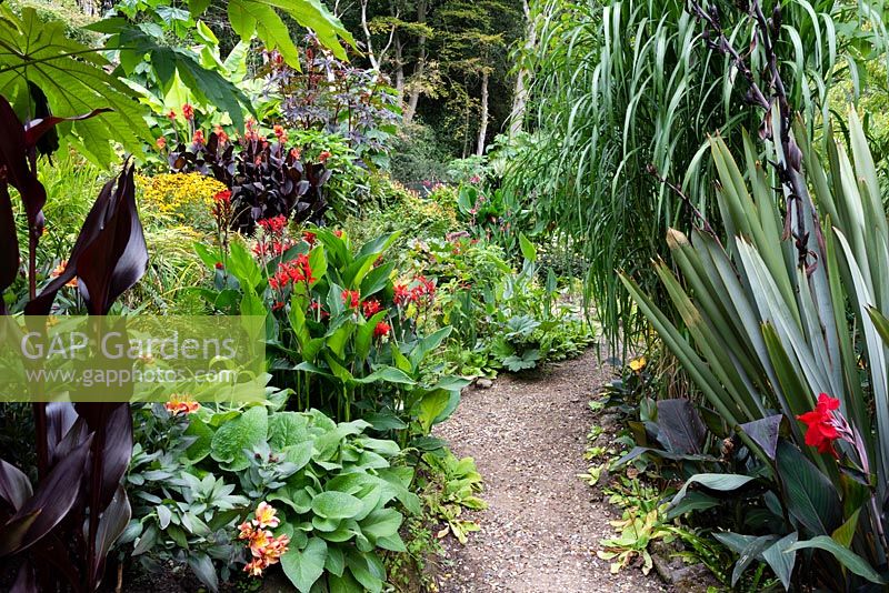 Vue d'un chemin à travers un jardin situé dans une vallée escarpée, avec son propre microclimat abrité qui permet aux tendres plantes exotiques de s'épanouir.