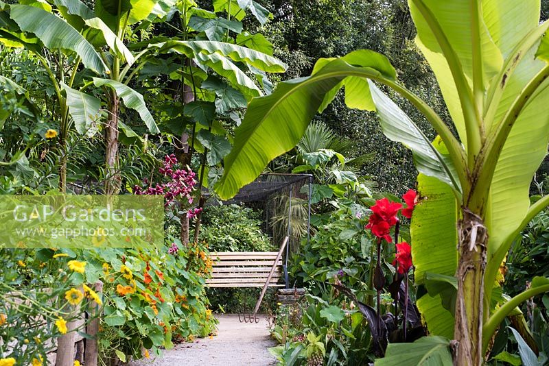 Un chemin menant à un banc dans un jardin subtropical.