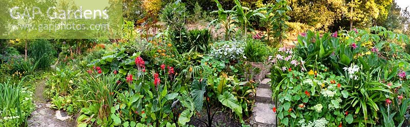 Vue panoramique d'un jardin subtropical situé dans une vallée escarpée ou combe avec son propre microclimat abrité qui permet aux plantes exotiques tendres de s'épanouir